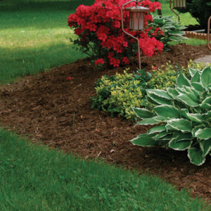 Double Ground Hardwood Mulch in planting bed close up